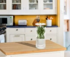 Promo ✨ Honey Can Do Clear & White Herb Preserver 😀 -Honey Can Do Sales Store 29024 KCH 06398 4