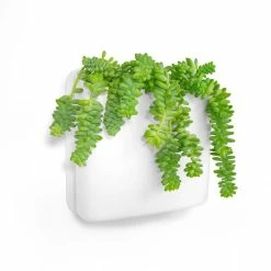 Best deal 🎉 Honey Can Do Biggy, White 🛒 -Honey Can Do Sales Store 29024 PER003 1